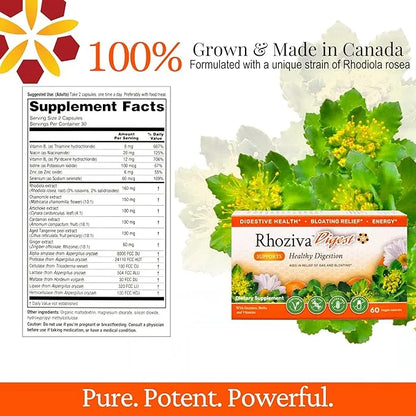 Digest. Gut Health supplement with Digestive 60 Capsules.