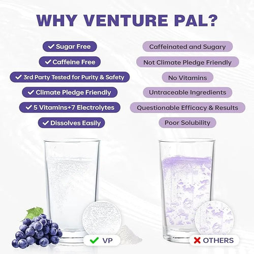 Venture Pal Sugar Free Electrolyte Powder Packets - Liquid Daily IV Drink Mix for Rapid Hydration & Party Recovery | 5 Vit...