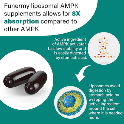 Liposomal AMPK Activator 2000 mg 6-in-1 AMPK 180 Softgels
