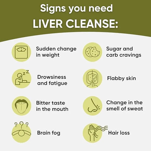 Liver Support - Natural Milk Thistle 60 Veggie (30 Days