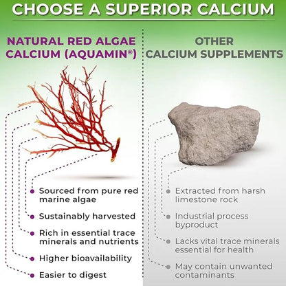 Plant-Based Calcium 500mg (Aquamin) – Vegan Calcium Magnesium Zinc D3 with Vitamin K2 & Organic Turmeric – Enhanced Bone a...