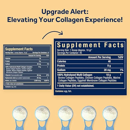 Doctor's Recipes Multi Collagen Protein Powder, 10g, Collagen 16oz
