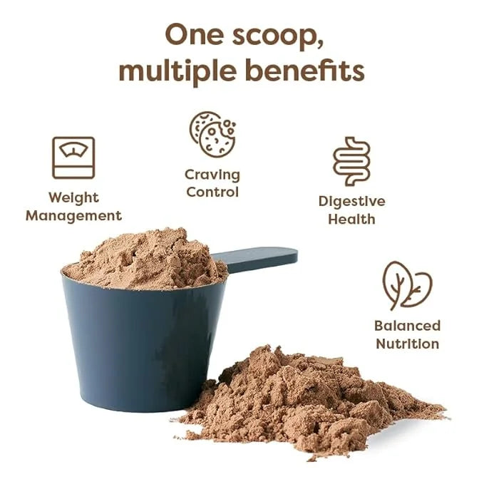 310 Nutrition All-In-One Meal Replacement Shake - Fiber-Rich Vegan Superfood Blend with Natural Sweeteners - Low Carb, Ket...