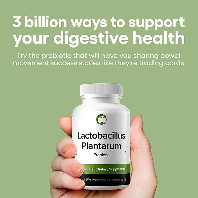 Lactobacillus Plantarum Probiotic Supplement 240 Tablets 3 Billion CFU Probiotics for Men & Women Supports Intestinal Dige...