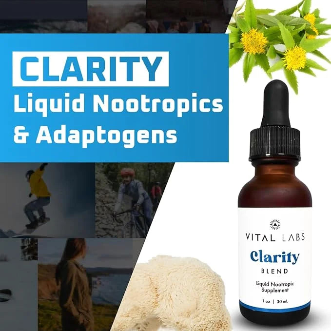 Clarity Tincture - Organic Lions Mane
