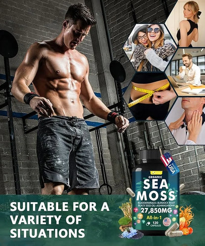 Irish Sea Moss Capsules 120 Count - Advanced Sea Moss Pills with Black Seed Oil, Ashwagandha, Ginger, Bladderwrack, Elderb...