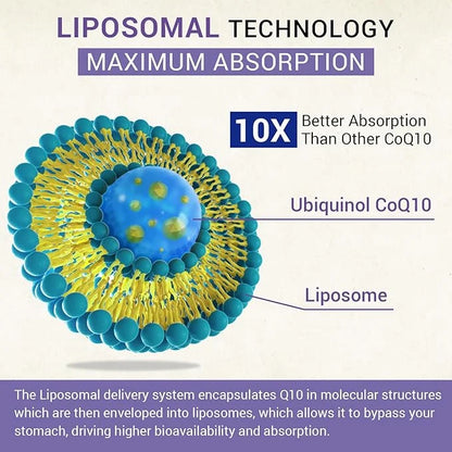 Liposomal Ubiquinol CoQ10 800 MG Softgel, CoQ10 Ubiquinol Q10 800mg, 800mg, Powerful 120 Vegan