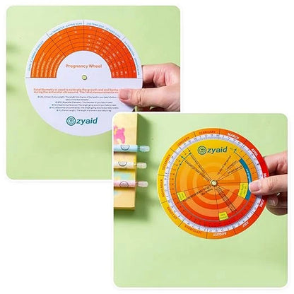 Pregnancy Wheel, Due Date OB-GYN Calculator 3)