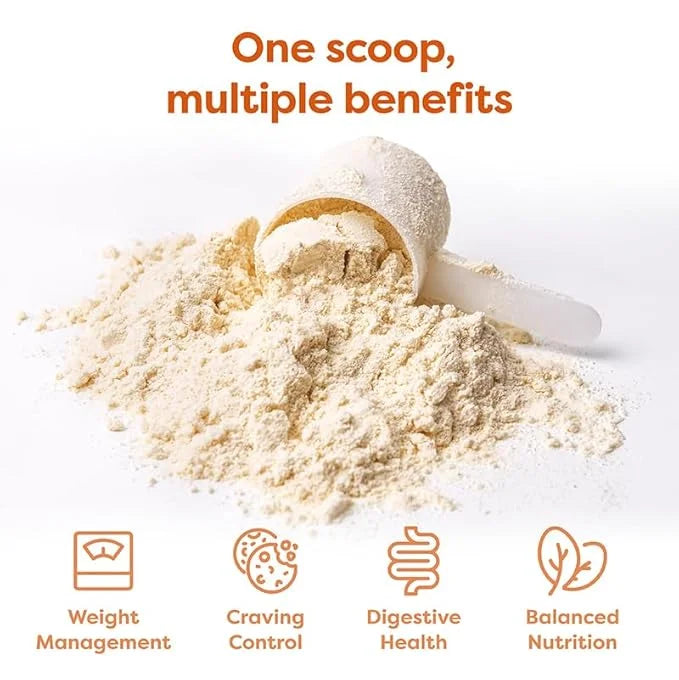 310 Nutrition All-In-One Meal Replacement Shake - Fiber-Rich Vegan Blend with Natural Sweeteners - Low Carb, Keto & Paleo ...