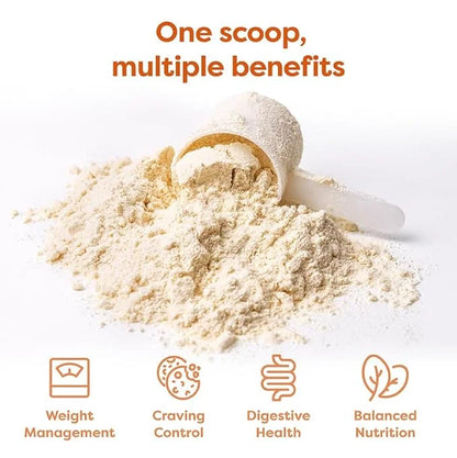 310 Nutrition All-In-One Meal Replacement Shake - Fiber-Rich Vegan Blend with Natural Sweeteners - Low Carb, Keto & Paleo ...