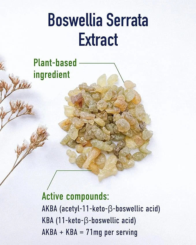 Boswellia Focus for Joints and Cartilage