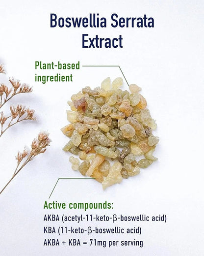 Boswellia Focus for Joints and Cartilage