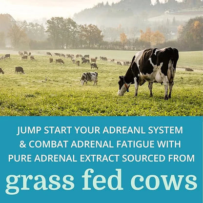 Adrenergy Best Process Alkaline — Natural