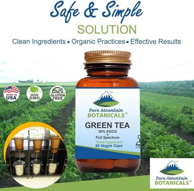 Green Tea Capsules 90 Kosher 450mg Organic