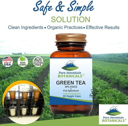 Green Tea Capsules 90 Kosher 450mg Organic