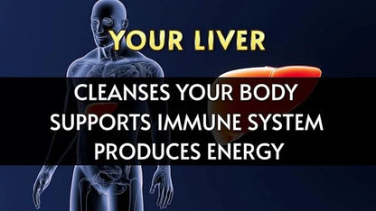Liverite Liver Aid with Milk Thistle 2-Pack 150 150 Capsules 300), Liver