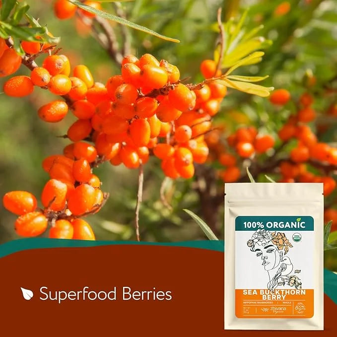 Organic Sea Buckthorn Berry Tea (PACK OF 2) - Seaberries Dried - Rich in Omega Fatty Acids, Antioxidants - Superfood Berri...