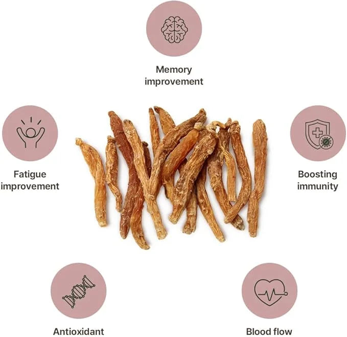 Korean Red Ginseng Sticks –Premium Red 3mg] 100p) 100p)