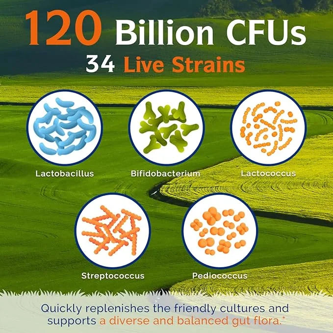 Innate Vitality Probiotics 120 Billion CFUs 34 Strains 30 Vegan