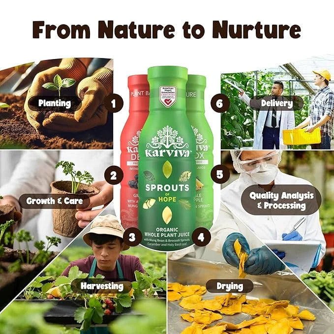 Karviva Organic Detox Juice Variety Pack – Ancient Remedies for Gentle Detox & Healthy Digestion, Low-Sugar Juice Cleanse ...