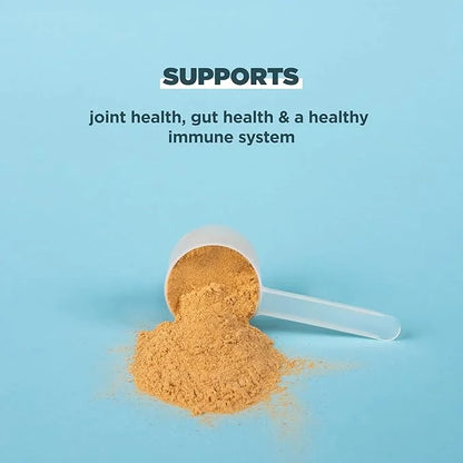 Bone Broth Protein Powder by Ancient 19g Protein 20 Servings