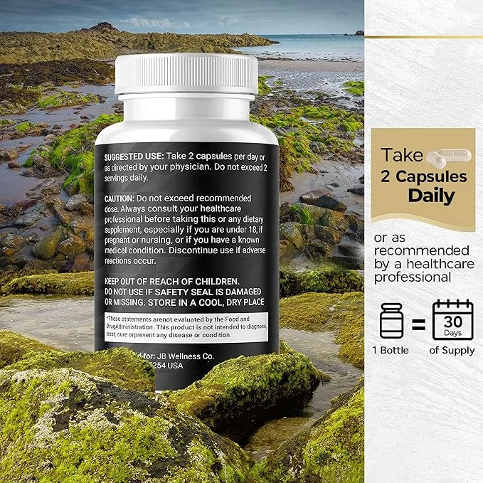 Sea Moss 3000mg Black Seed Oil 2000mg Ashwagandha 1000mg Turmeric 1000mg Bladderwrack 1000mg Burdock 1000mg & D3 with 120 ...