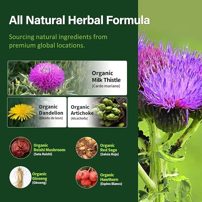 Herdmood Silymarin Milk Thistle Liver Detox 360Count