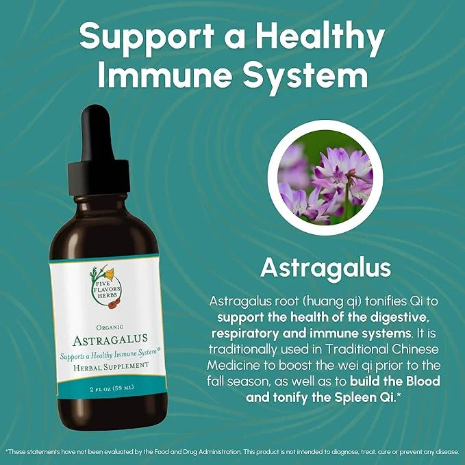 Astragalus Tincture - Immune System Support, 2 Fl