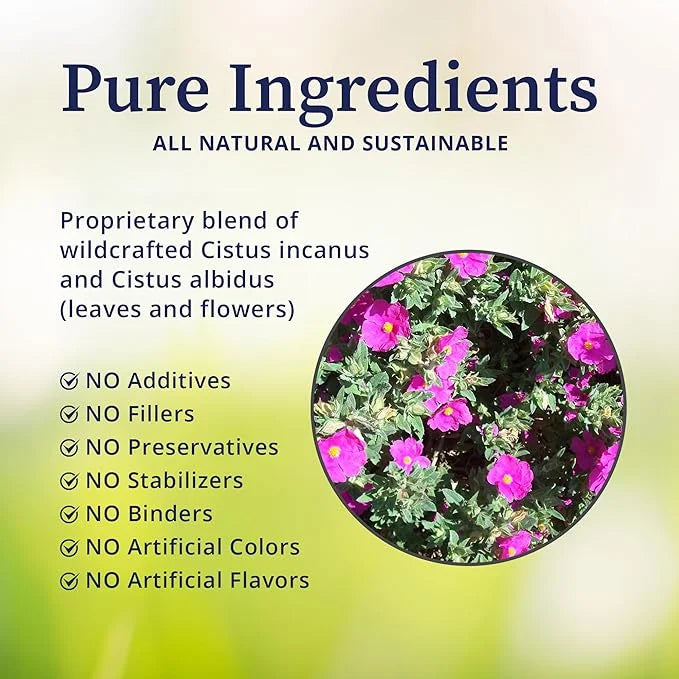 BioPure Cistus Loose Tea – Wildcrafted Cistus Incanus & Cistus Albidus Rich in Antioxidants, Polyphenols & Bioflavonoids g...
