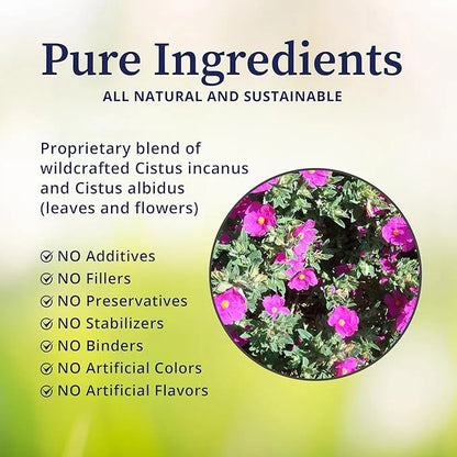 BioPure Cistus Loose Tea – Wildcrafted Cistus Incanus & Cistus Albidus Rich in Antioxidants, Polyphenols & Bioflavonoids g...