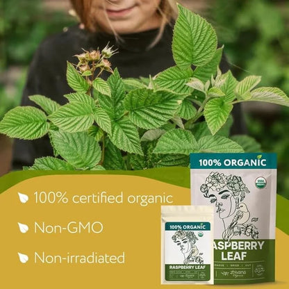 Red Raspberry Leaf Tea Organic – Loose Rasberry Leaves - Organic Raspberry Leaf Tea for Frist, Second, Third Semester Preg...