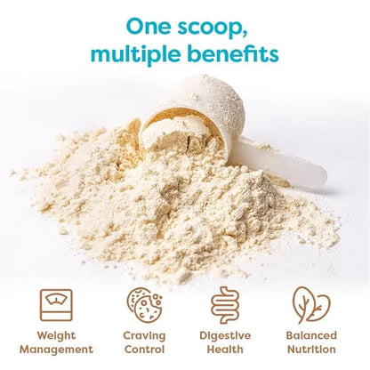 310 Nutrition - All In One Meal Replacement Shake - Superfood Blend with Fiber - Natural Sweeteners - Low Carb Shake, Keto...