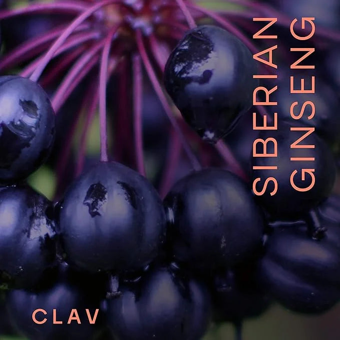 CLAV® Siberian Ginseng 900mg Eleuthero 60 Ginseng