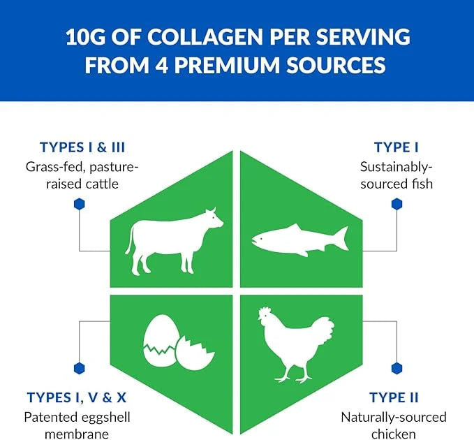 BioTrust Multi Collagen Protein Powder + Keto MCT Oil – 5 Types (I, II, III, V, X) & 100% Caprylic Acid C8 - Support Eleva...
