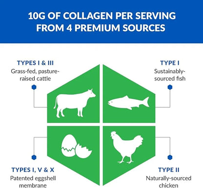 BioTrust Multi Collagen Protein Powder + Keto MCT Oil – 5 Types (I, II, III, V, X) & 100% Caprylic Acid C8 - Support Eleva...
