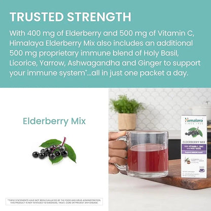 Himalaya Elderberry Mix, Drink Mix Supplement, 10-0.15 oz (4.3 g)