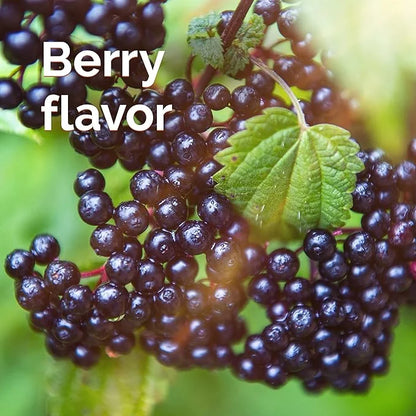 Emergen-C Elderberry Fizzy Drink Mix, Elderberry 18 Count