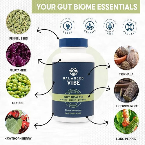 Balanced Vibe 7-in-1 Organic Gut Health Supplement | Digestive Support for Men, Women | After-Party Recovery | Helps Reduc...