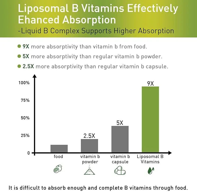 Liposomal B Complex with Active Forms Support-B1, B2, B2, B3, B3, b5, b5, B6, B6, Biotin, B12-4.0 oz