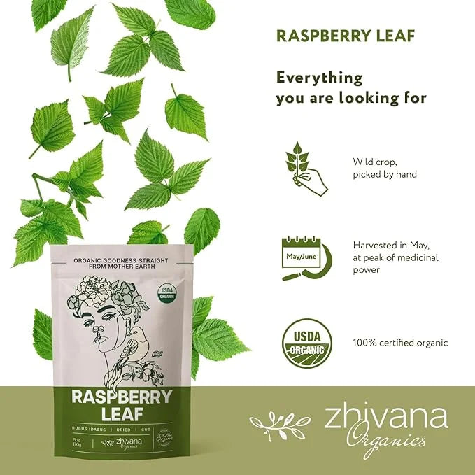 Organic Red Raspberry Leaf Tea – Wild Raspberry Tea for for Pregnancy, Healthy Cycle, Menstrual Cramps – 6oz - Product Image