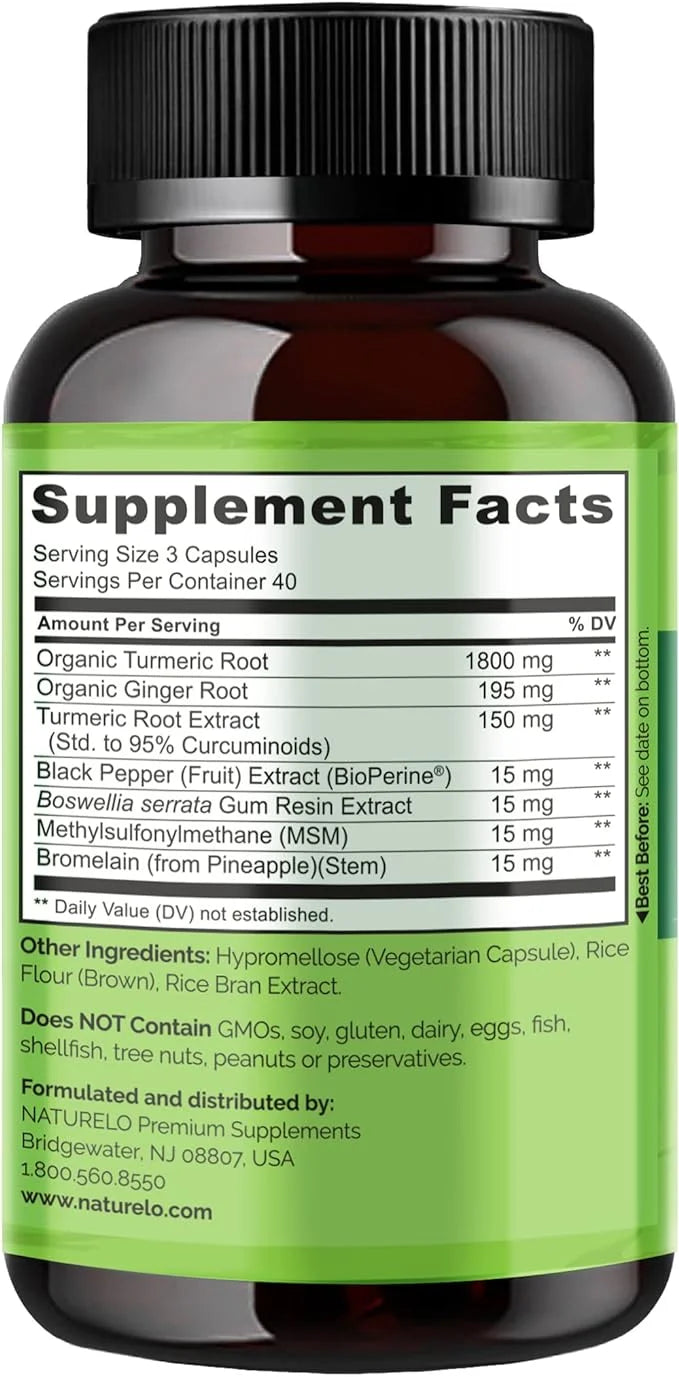NATURELO Turmeric Curcumin with BioPerine 120 Vegan (2 Pack)