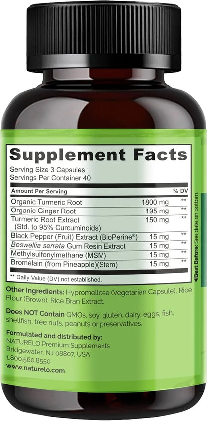 NATURELO Turmeric Curcumin with BioPerine 120 Vegan (2 Pack)