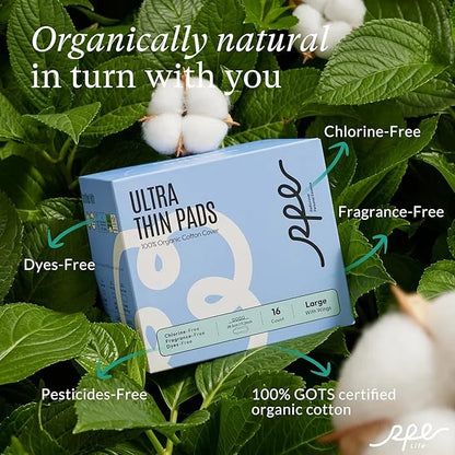 100% Large Organic Pads for Women, 4, 48ct) 48ct)