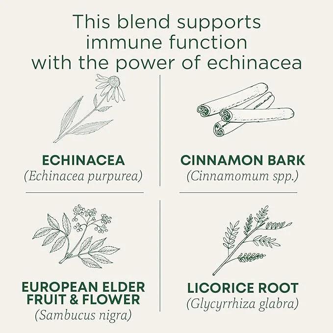 Traditional Medicinals Tea, Organic Immune Zoom Elderberry Echinacea, Supports Immune Function, 96 Tea Bags (6 Pack) - Pro...