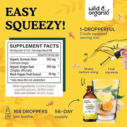 Turmeric Ginger Liquid Supplement 4 fl