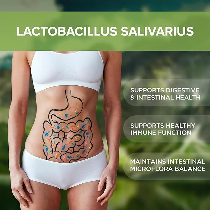 Lactobacillus Salivarius Probiotic Supplement 240 Tablets 3 Billion (240, Lactobacillus