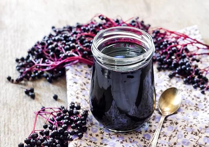 Food to Live Organic Black Elderberry 4 Pounds