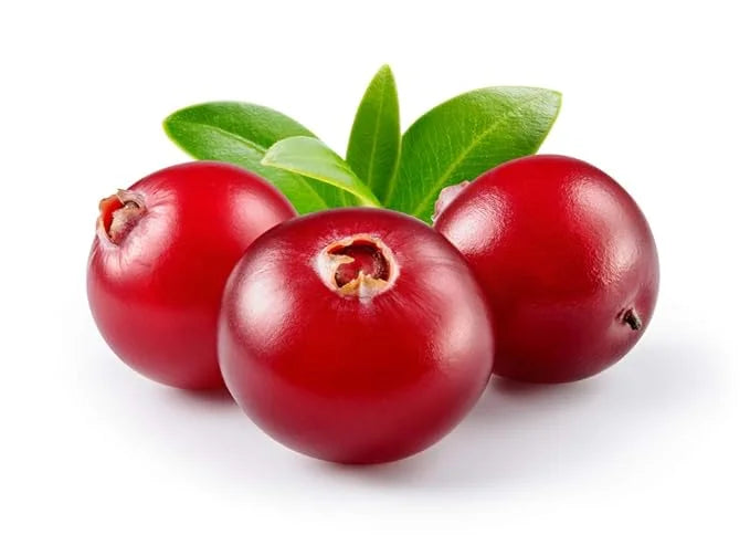 US Organic Cranberry Seed Oil, USDA Certified Organic,100% Pure & Natural, Cold Pressed Virgin, Unrefined in Amber Glass B...