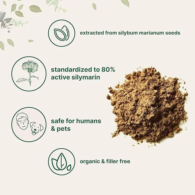 Organic Milk Thistle Tea Powder, 3.5 ounces | 400 Servings | Premium Milk Thistle Liver Detox Supplement | Contains Active...