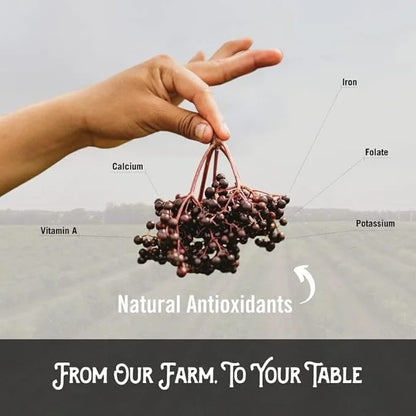 Norm's Farms American Elderberry Extract 2 8 8 Oz.